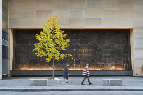 People walking on a sidewalk in front of a young tree and a stone waterfall feature